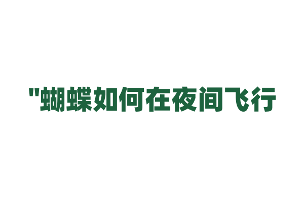 "蝴蝶如何在夜间飞行？"